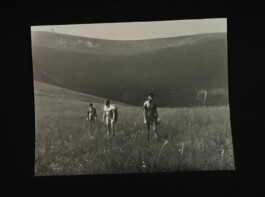 Společnost pro queer paměť